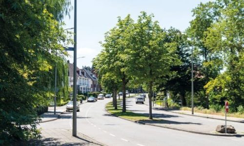 Molenbergpark - 5 - Molenberglaan - ilse